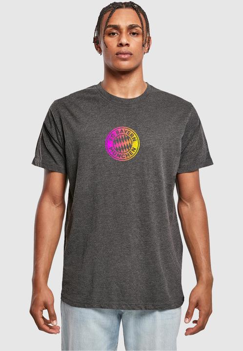 Image du produit FC Bayern München Logo PY T-shirt col rond - 115775 (L)