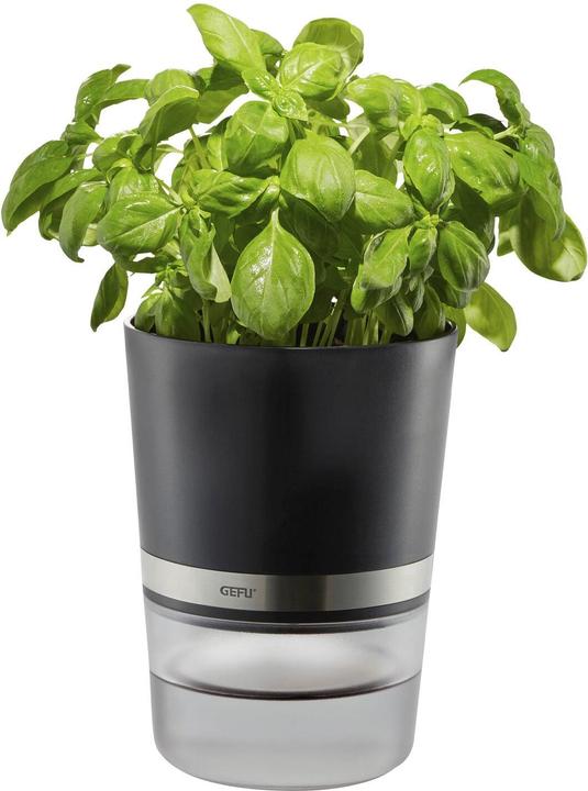 GEFU Botanico (14.20 cm)