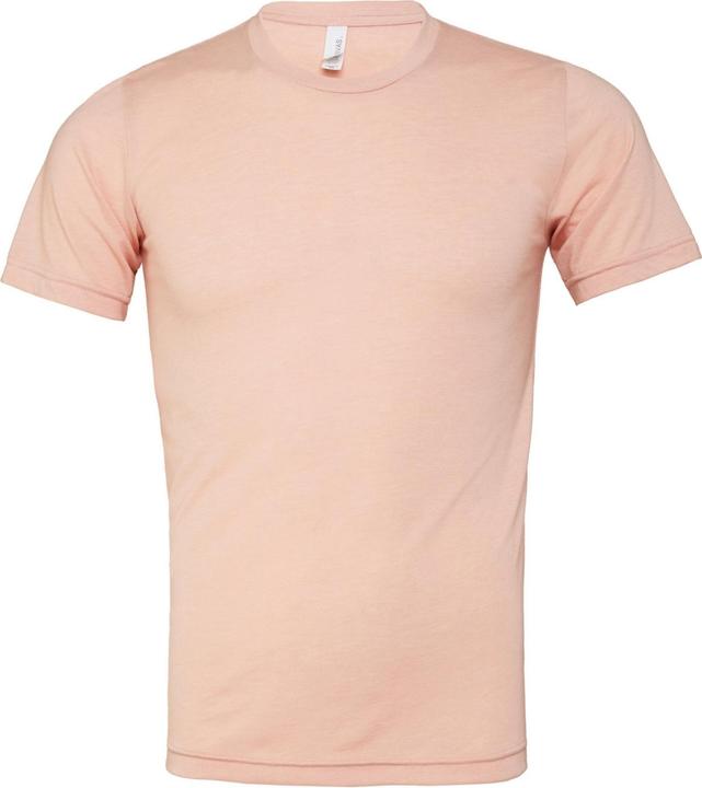 Actual product image Bella Canvas Canvas triblend short sleeve TShirt (L)