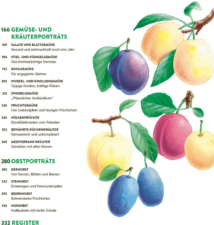 Image du produit Das grosse Gemüse- und Obstgartenbuch (Allemand, Joachim Mayer, 2025)