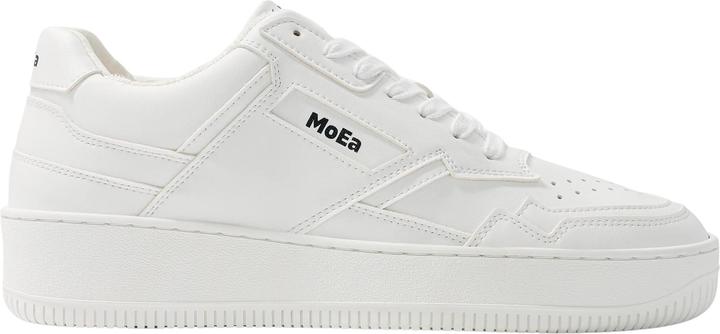 MoEa Gen1 - Corn (47)