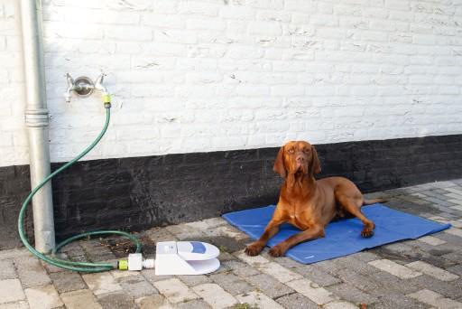 Immagine prodotto Beeztees Veloce (Cane)