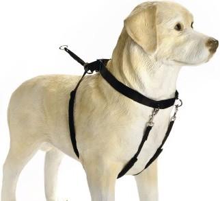 Beeztees Bz Gentle Walker Nero X-La (XL, Cane, Generale)