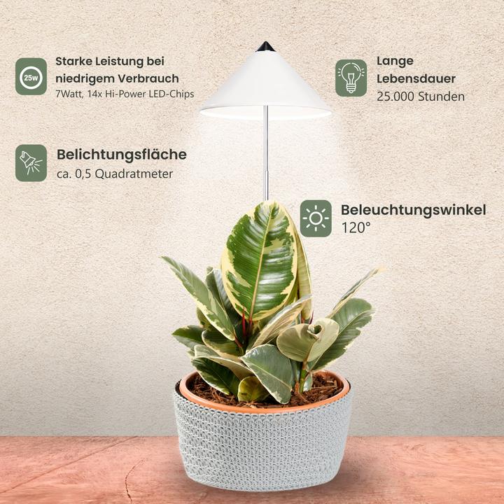 Produktbild Colibri SUNLiTE weiss (LED, 230 V)