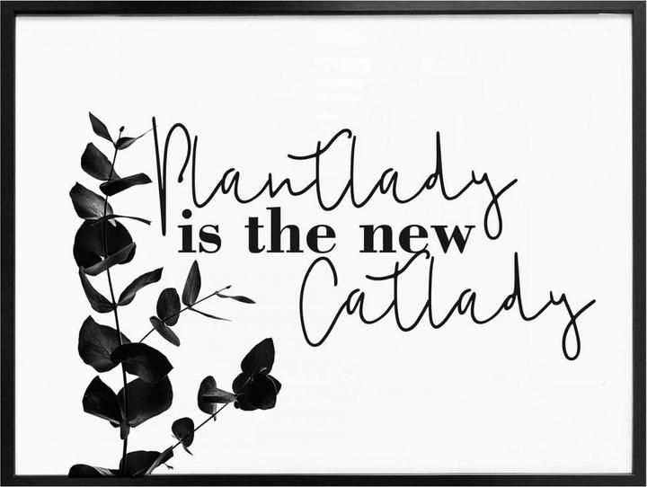 Produktbild Trenddeko Plantlady is the new catlady (50 x 40 cm)