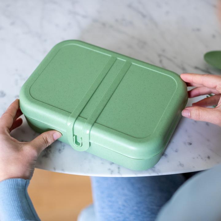 Actual product image Koziol Lunch box Pascal Ready 4 pieces, Green