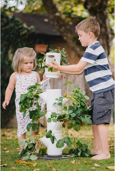 Image du produit Gusta Garden Sisi Fraise (27 cm)