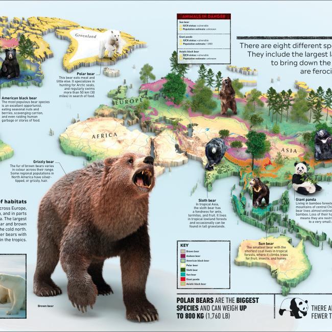 Produktbild What's Where on Earth? Animal Atlas (Englisch, Dorling Kindersley Ltd., 2021)