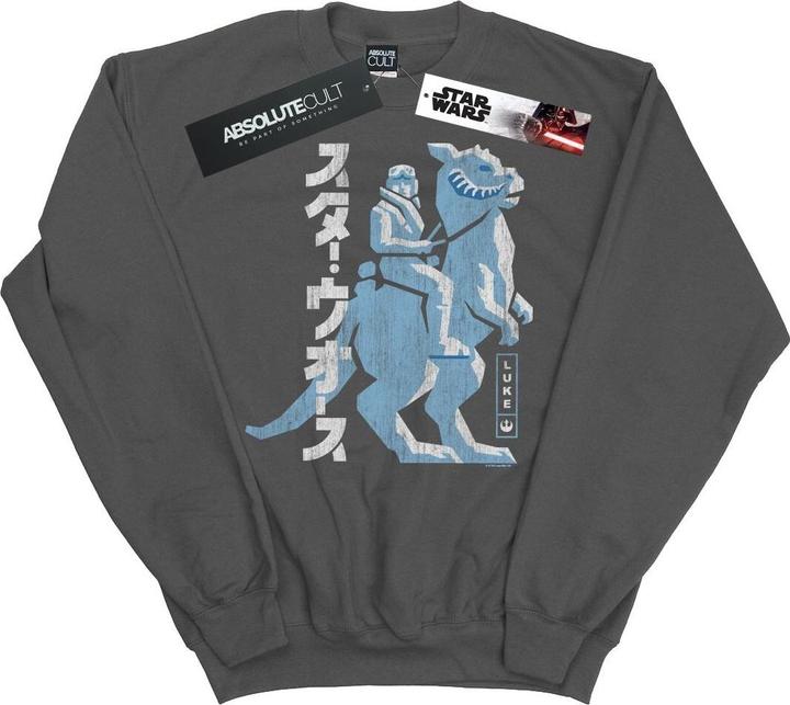 Actual product image Star Wars Mens Kanji Luke Hoth Sweatshirt (L)
