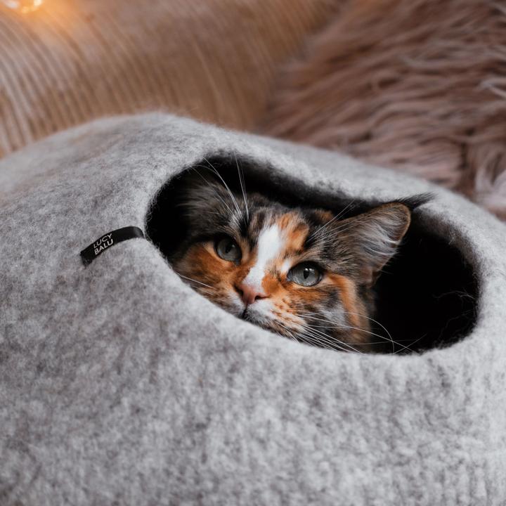 Immagine prodotto LucyBalu PEBBLE KatzenhÃ¶hle aus Filz (Gatto)