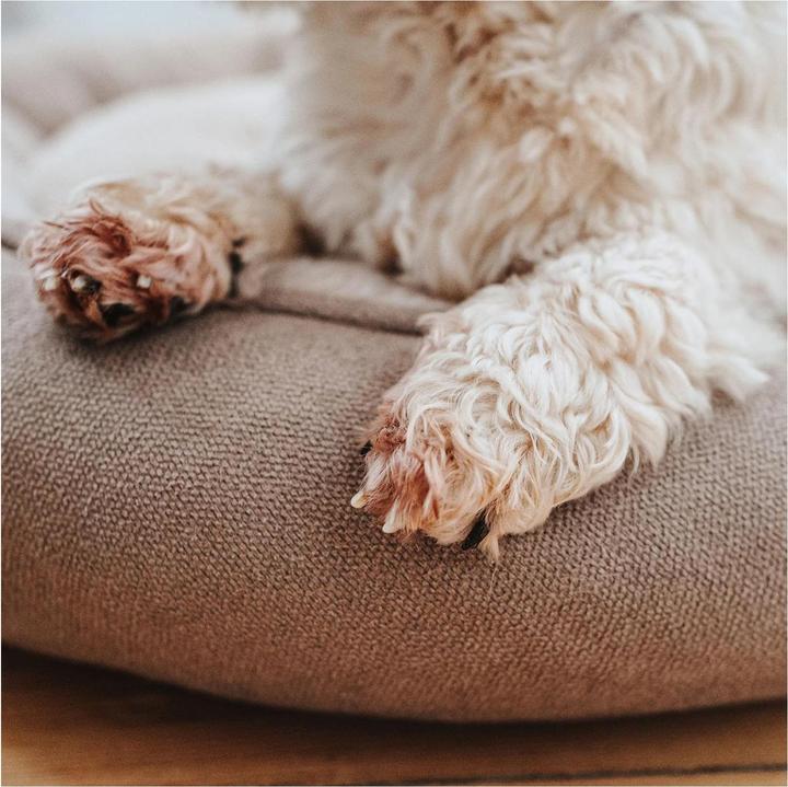 Actual product image Hunter Dog donut Rockford (Dog)