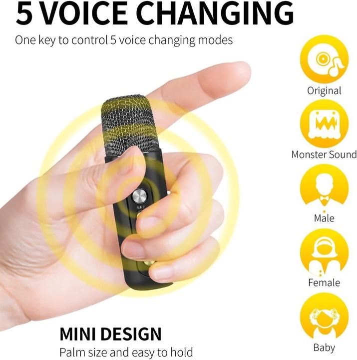 Actual product image Mumuwind Karaoke system