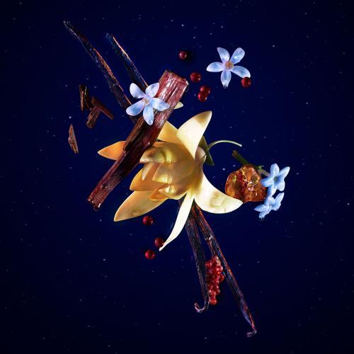 Image du produit Thierry Mugler Angel Elixir Eau de Parfum Eco refill (Eau de parfum, 100 ml)