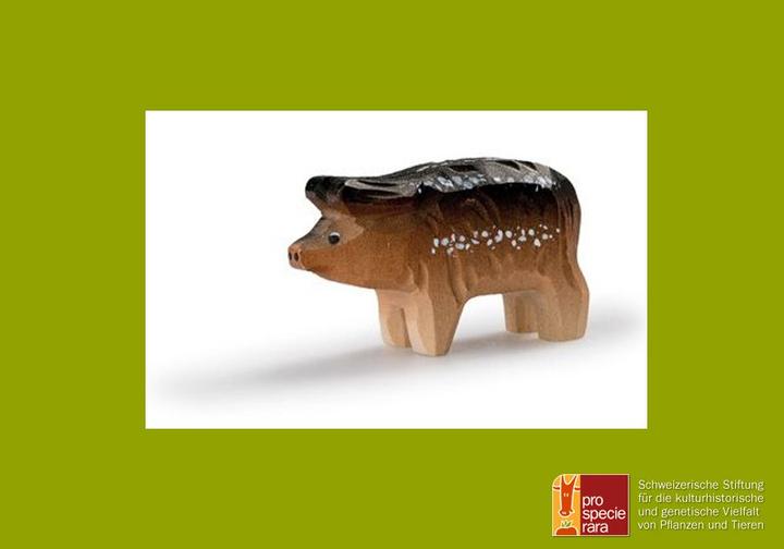 Produktbild Trauffer Wollschwein Ferkel