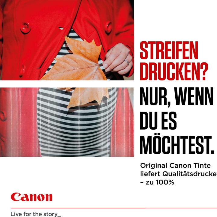Actual product image Canon Pgi-550xl (PGBK)