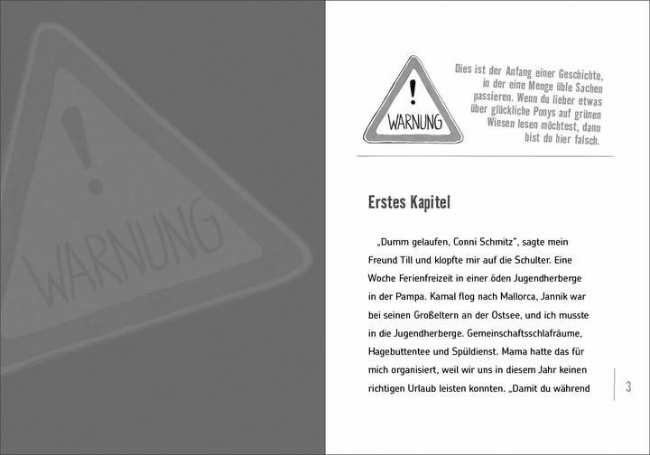 Produktbild Wie ich in den Sommerferien aus der Geisterbahn fiel und eine Elektrikerin entführte (Deutsch, Lienesch, Andrea, 2021)