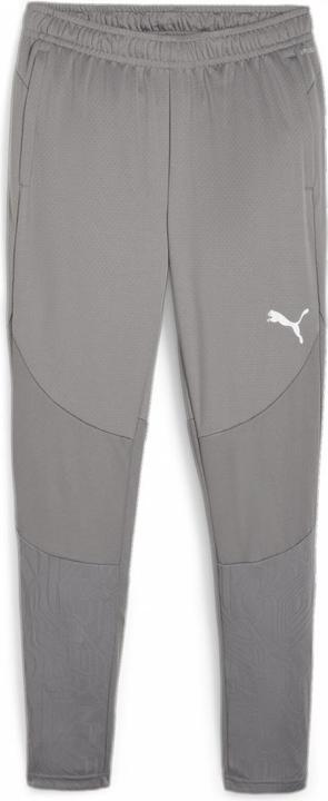 Actual product image Puma teamFINAL Training Pants (L)