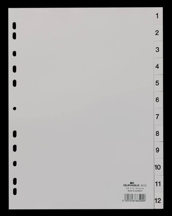 Produktbild Durable Register PP
