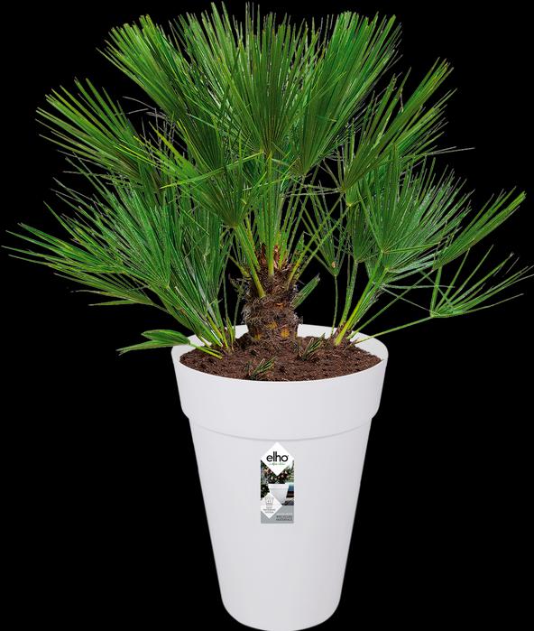 Image du produit Elho Loft Urban (33.50 cm)