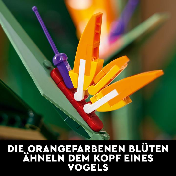Produktbild LEGO Bird of Paradise (10289, LEGO Seltene Sets)