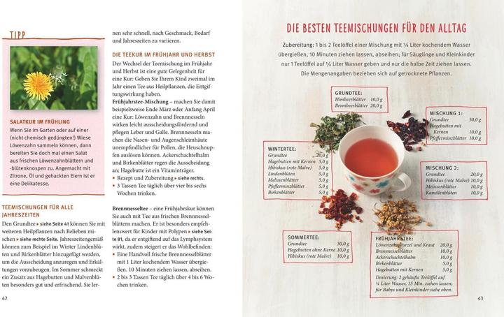 Image du produit Kinderkrankheiten natürlich behandeln (Allemand, Georg Soldner, 2014)