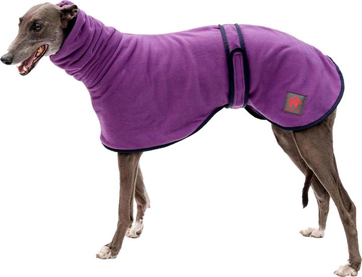 Viola