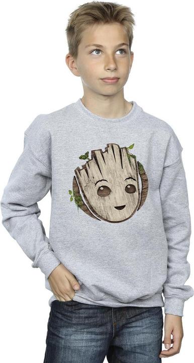 Actual product image Boys I Am Groot Wooden Head Sweatshirt (152, 158)
