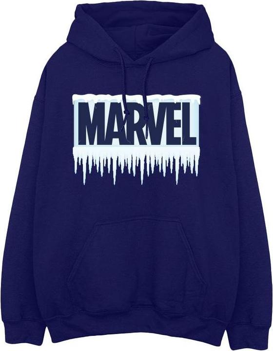 Produktbild Icicle Logo Kapuzenpullover (L)