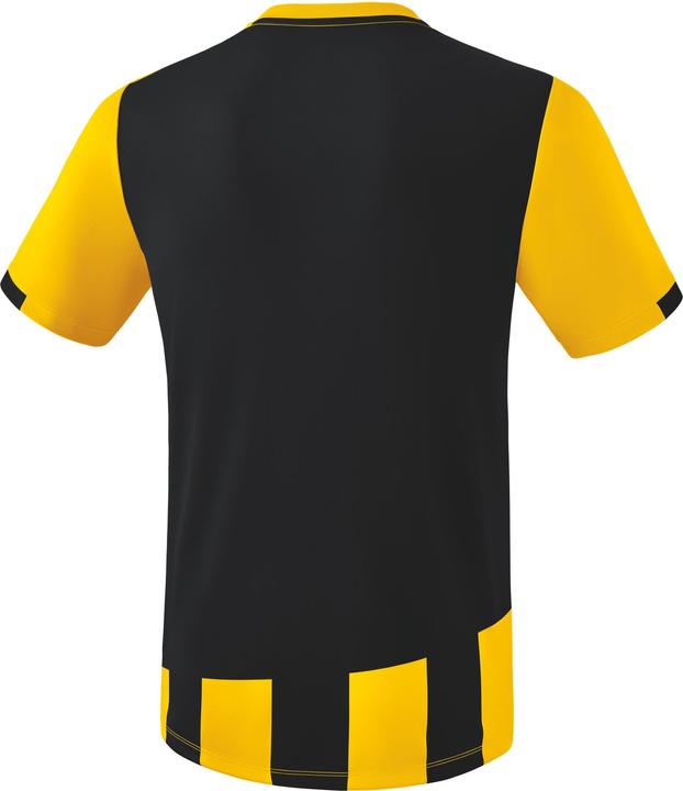 Actual product image Erima Siena 3.0 jersey (S)