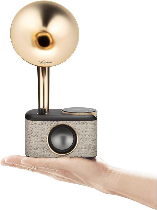 Image du produit Sangean CP 100D (DAB+ DAB, FM, Bluetooth)
