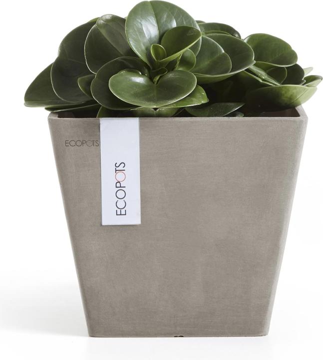 Produktbild Ecopots Rotterdam (20 cm)