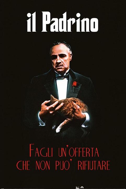 Image du produit The Godfather Poster Il Padrino (61 x 91 cm)