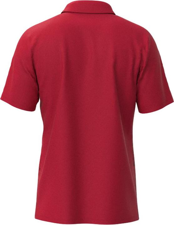 Actual product image Mizuno Chiba Polo M (S)