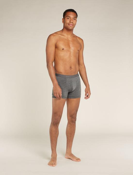 Produktbild Icebreaker Merino 125 Cool-Lite Anatomica Boxers (L)