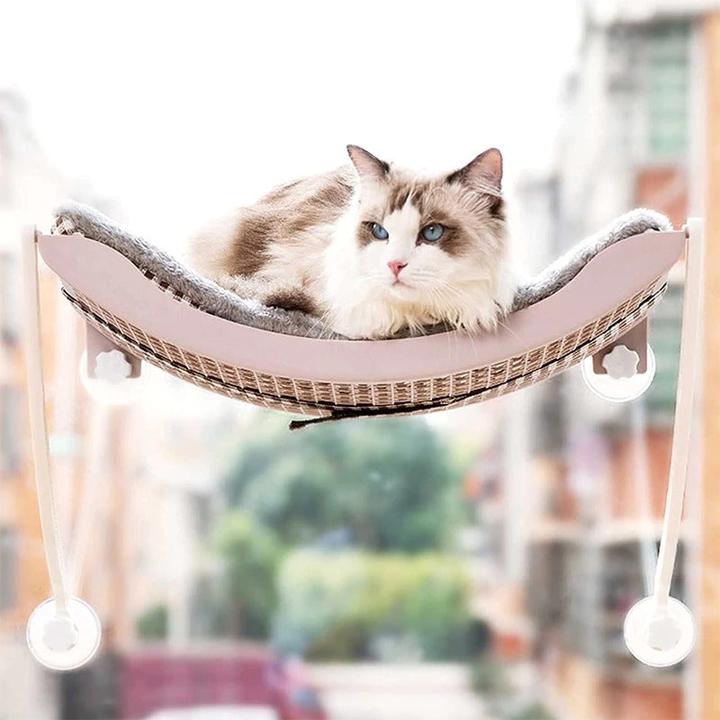 Hermex Katzenbett Hängeliege Hängematte Katzenkorb Katzennest Katzensofa Grau (Katze)