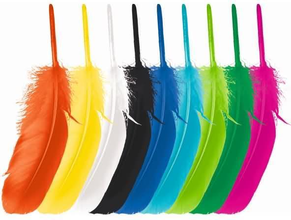 Actual product image Ursus Springs