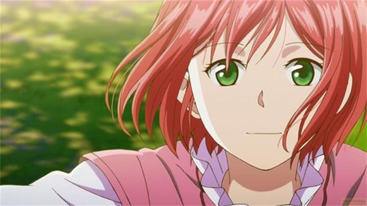 Actual product image The Red-Haired Snow Princess - Complete Edition (DVD, 2024, German)