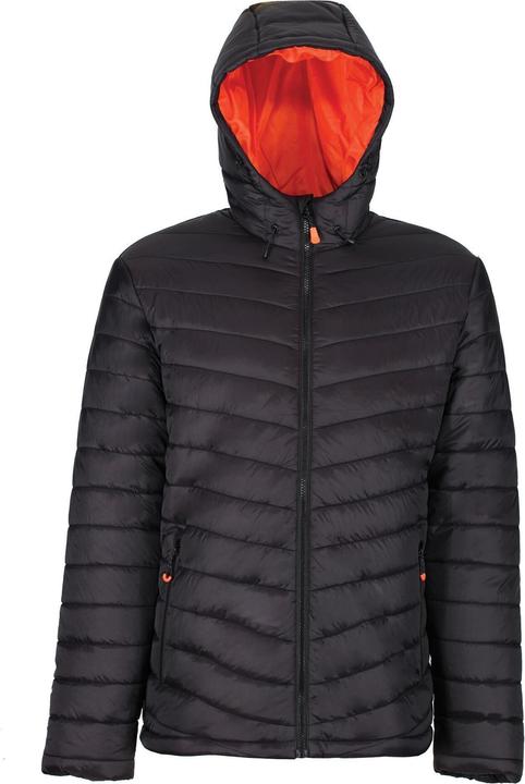 Immagine prodotto Regatta UTBC4836 P (XL)