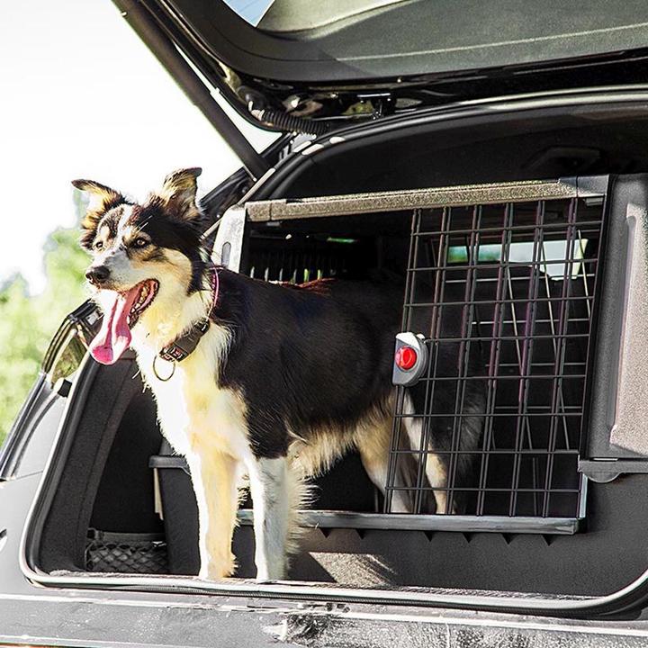Actual product image Ferplast Cage de transport (Dog, Breathable)