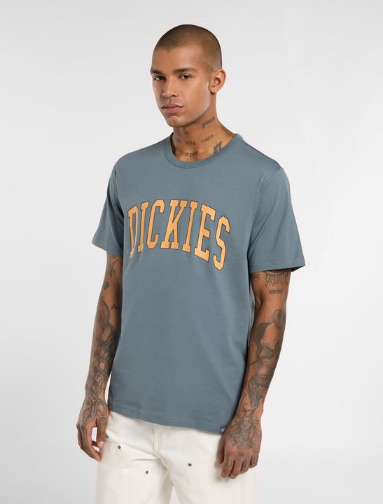 Actual product image Dickies Aitkin Tee Stormy Weather (M)