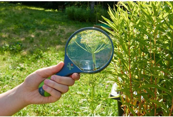 Actual product image Haba Terra Kids magnifying glass