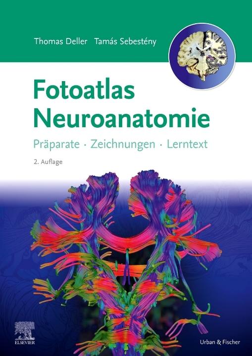 Actual product image Fotoatlas Neuroanatomie (German, Katrin Eichler, Thomas Deller, Stephanie Tritt, Tamás Sebestény, 2024)