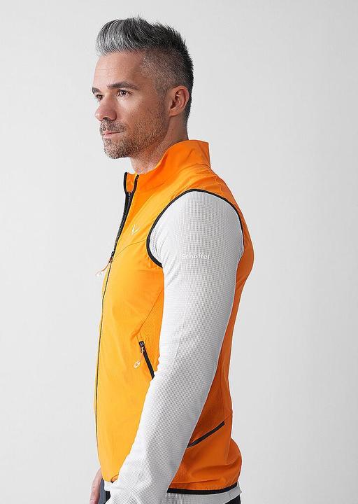 Actual product image Salewa Pedroc DST Light Vest (L)
