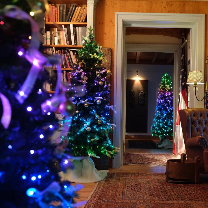Actual product image Twinkly Tree PreLit (150 cm)