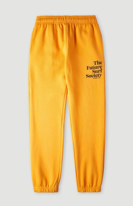 Produktbild O'Neill Future Surf Jogger Pants (140)