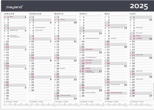 Mayland-Burde Account Calendar Modern A3 2025 (A3)