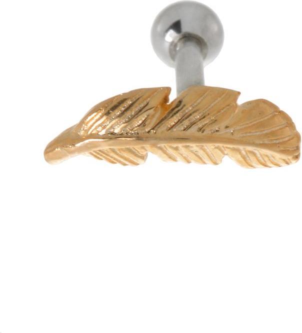 Bijouteria Ohrpiercing (Chirurgenstahl 316L, Gold-Beschichtung (vergoldet), Messing mit Silberbeschichtung)