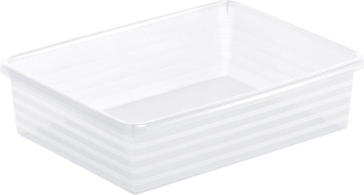 19.5 x 6 x 25.5 cm