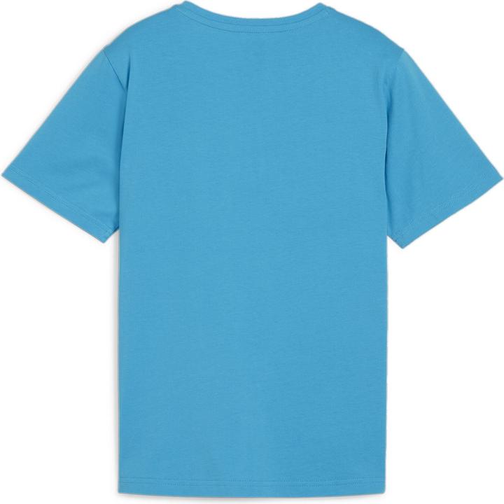 Actual product image Puma teamRISE Logo Jersey Cotton Jr (176)