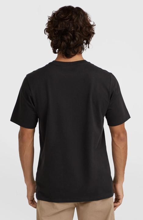 Actual product image O'Neill t-shirt o'nei sma chest print (L)